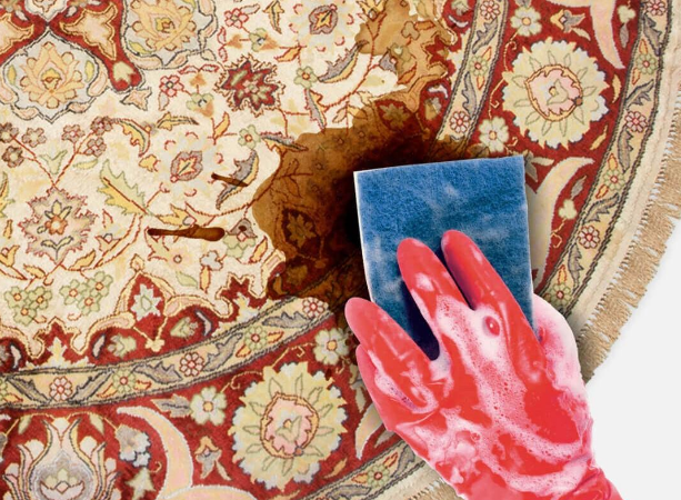 شامپو فرش خانگی